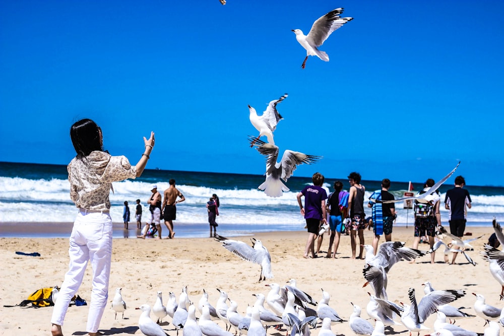 woman wearing white pants near white birds on seashore