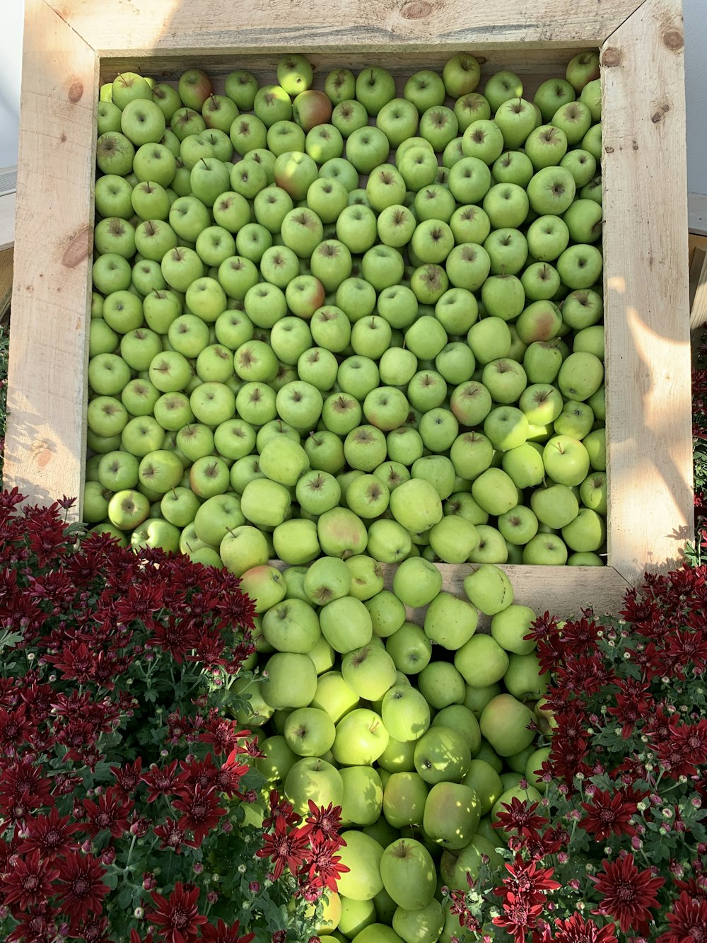 box of green fruits