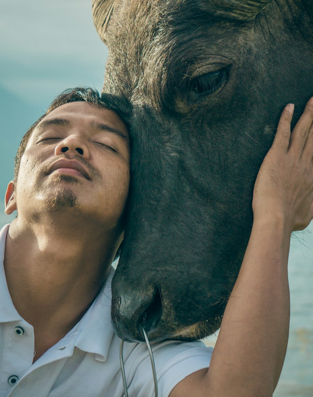 man holding water buffalo