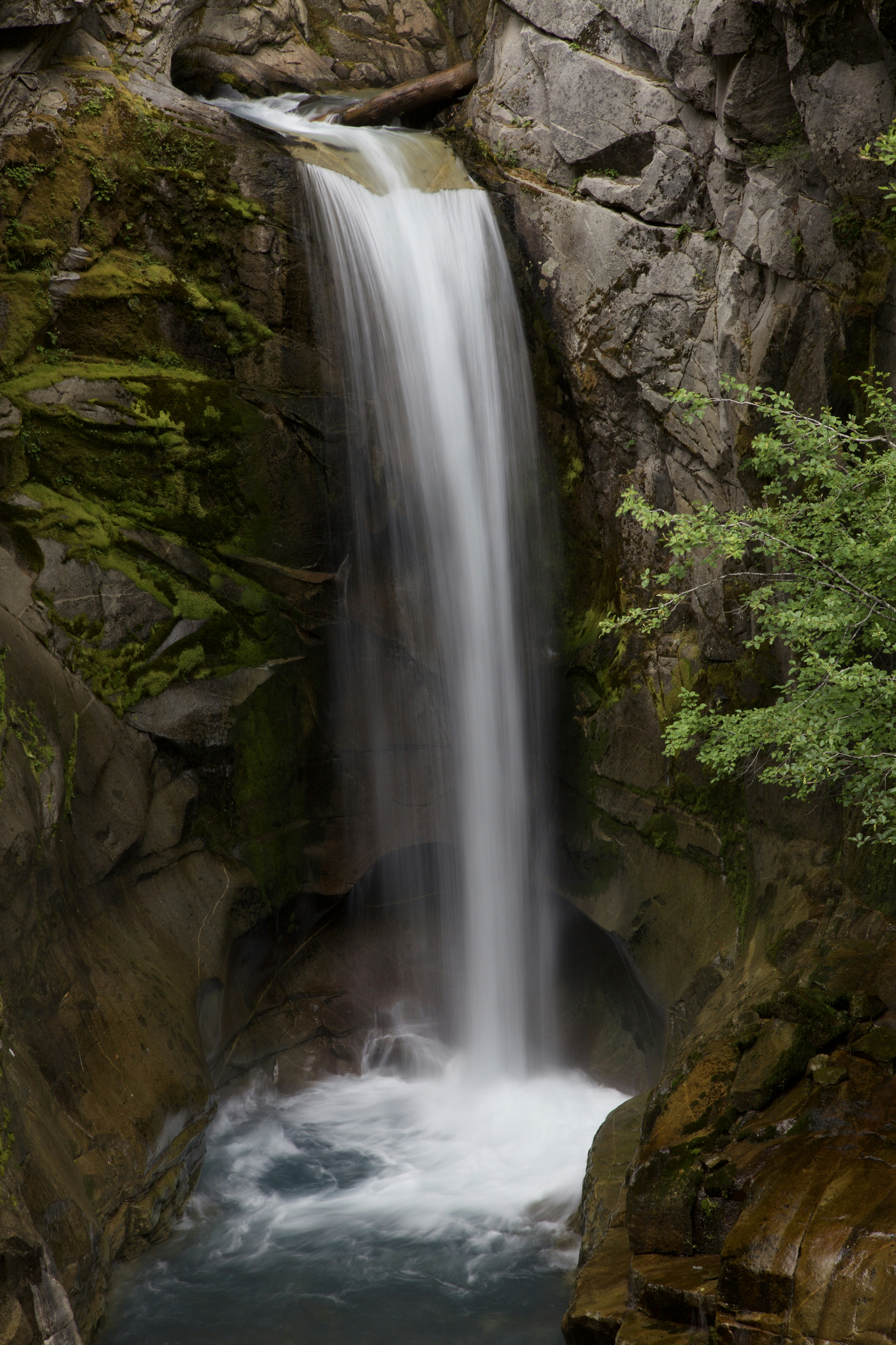 Photo by tommy_boy98