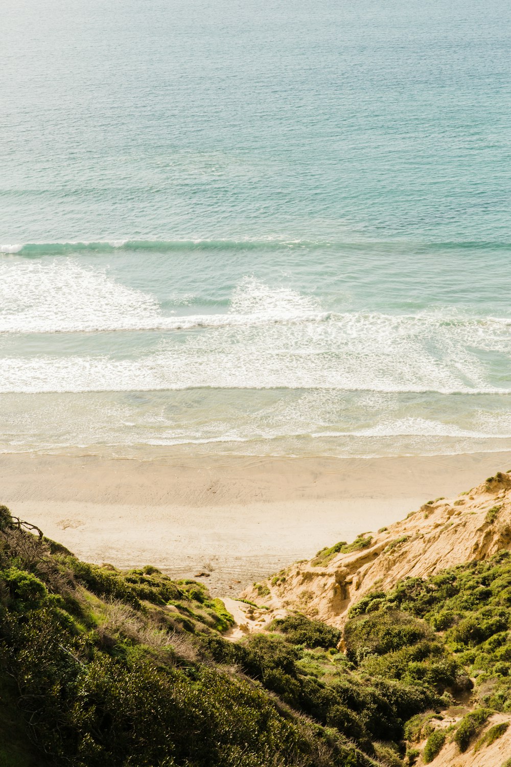 photography of seashore during daytime