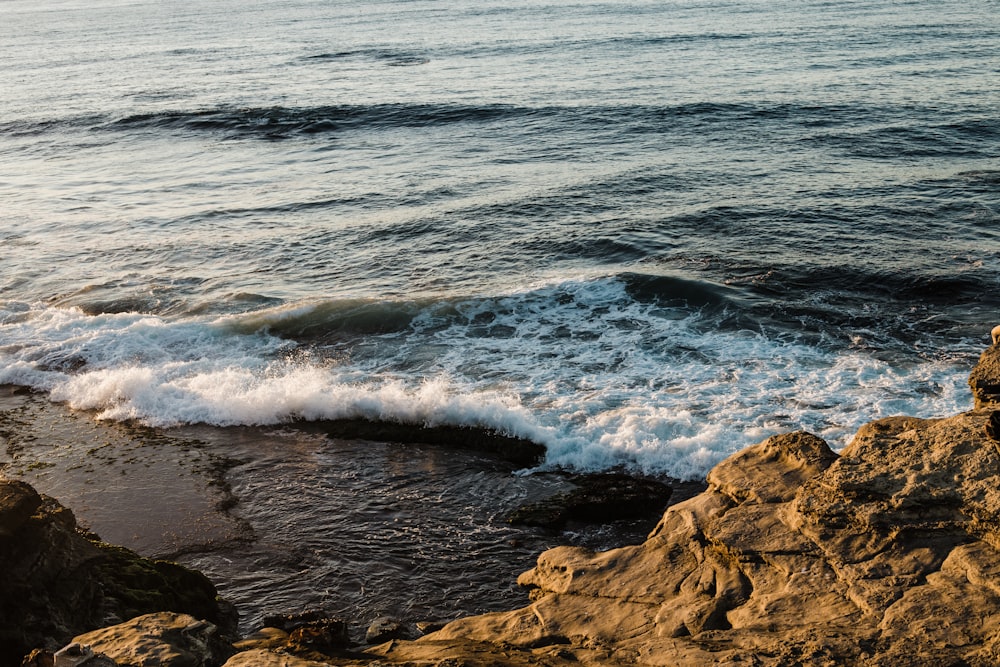 seashore during day