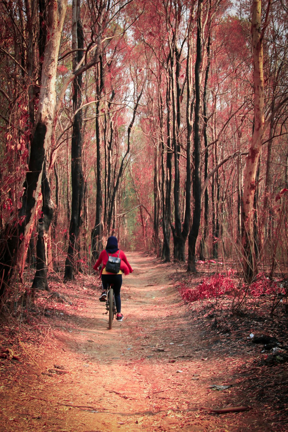 person riding bicycle