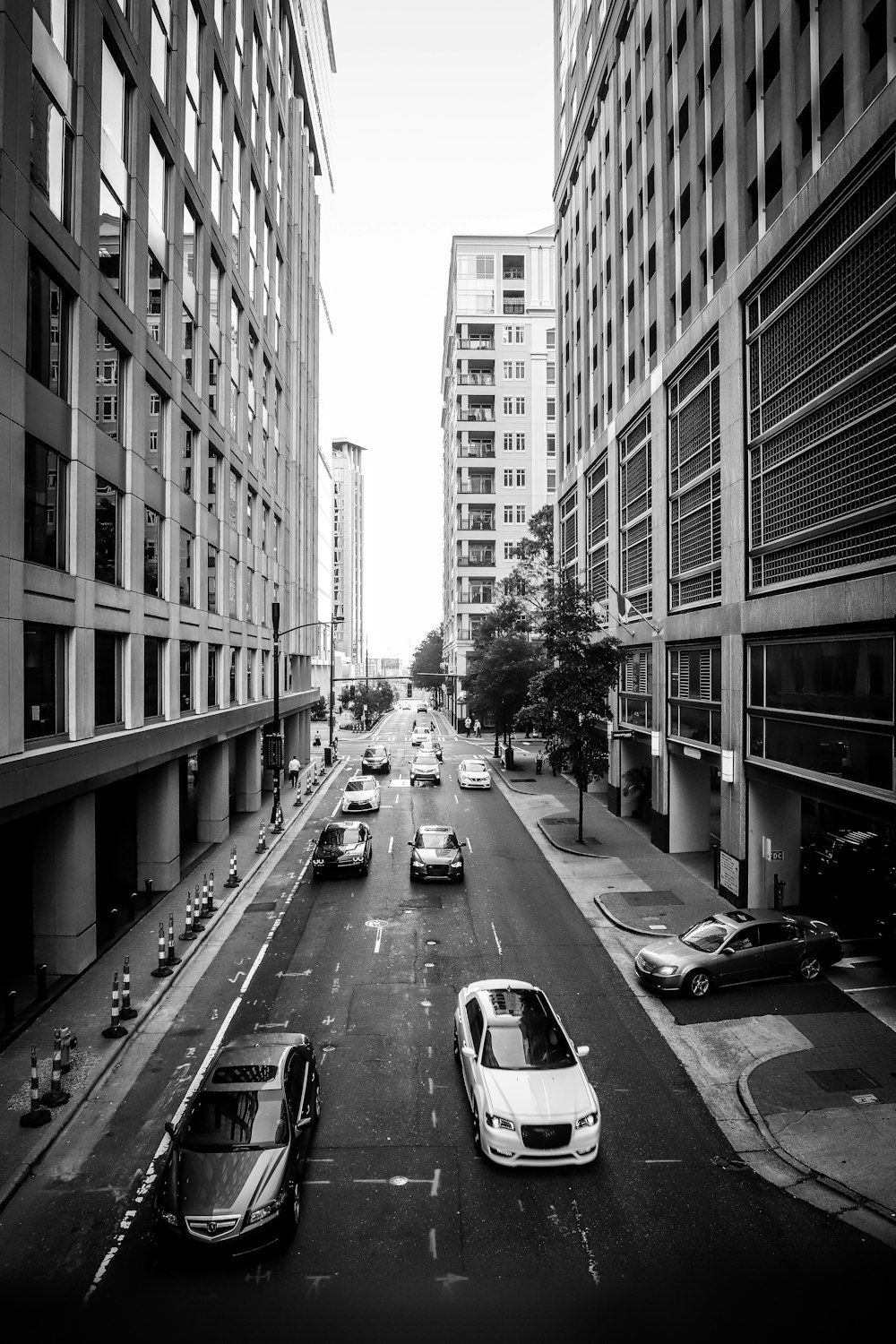 grayscale photography of vehicles and high rise buildings
