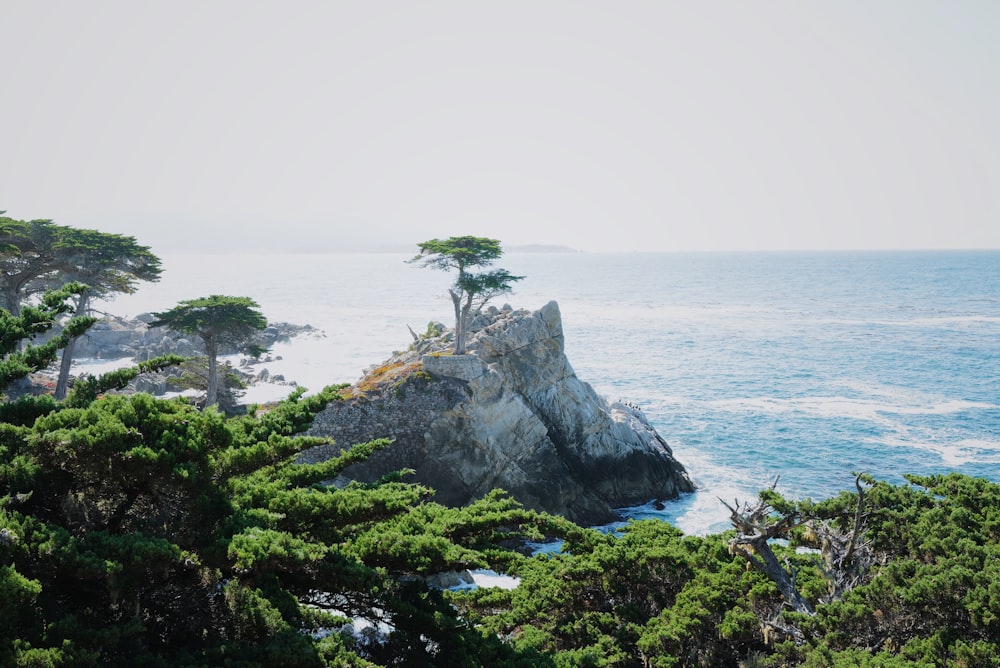 green trees island scenery