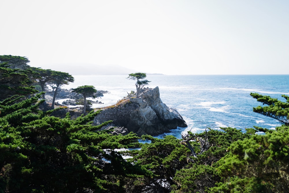 green trees island scenery