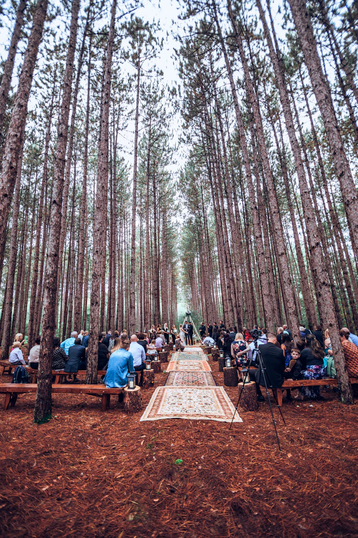 Guests seated for a forest ceremony
