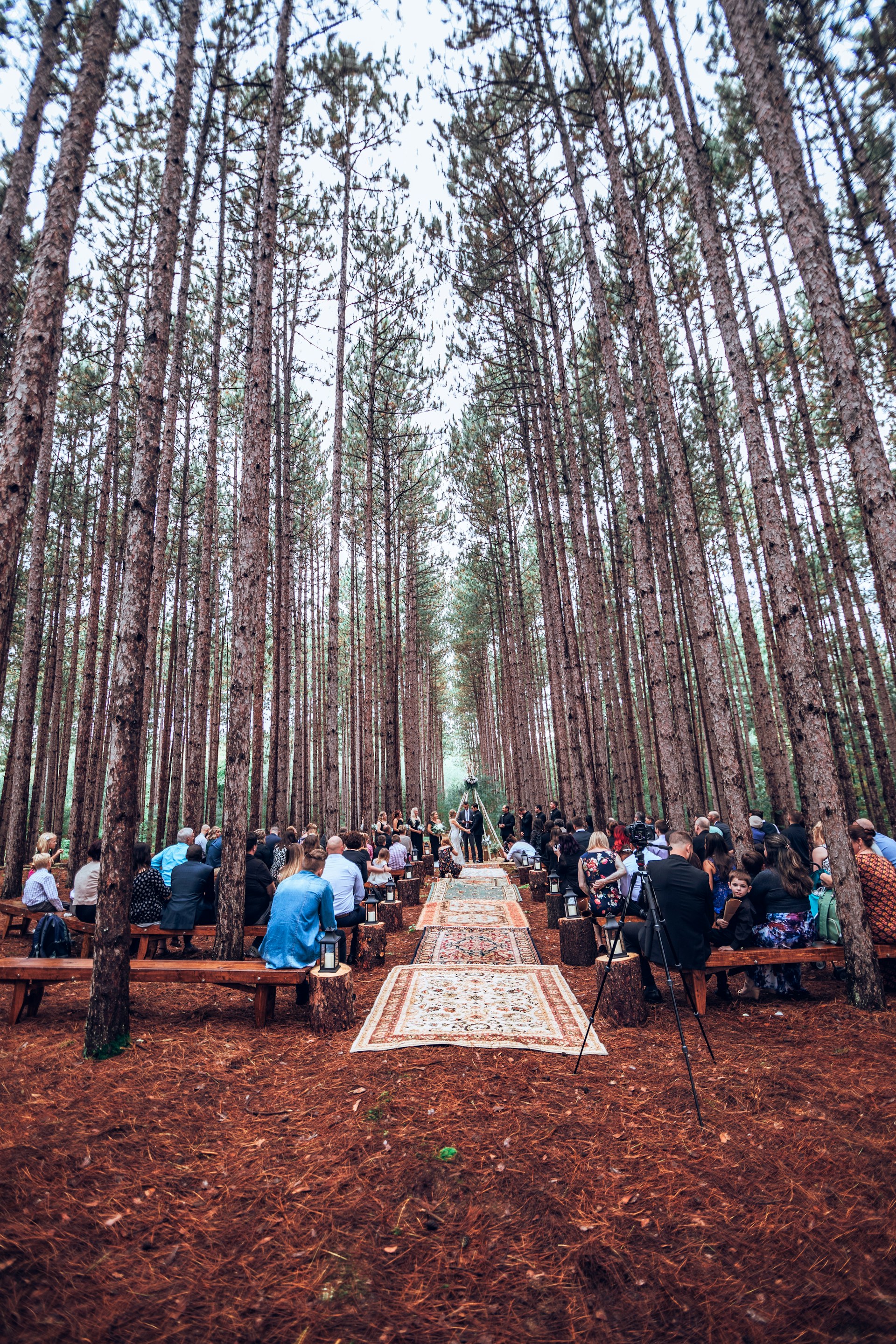 people sitting on forest