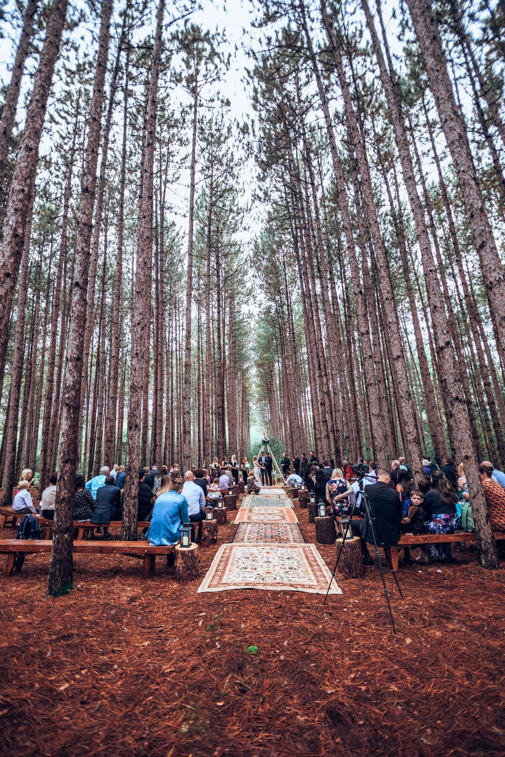 people sitting on forest