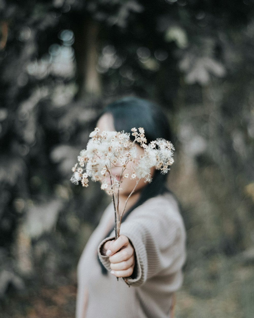 woman wearing brown sweater and holding white dandelion flowers
