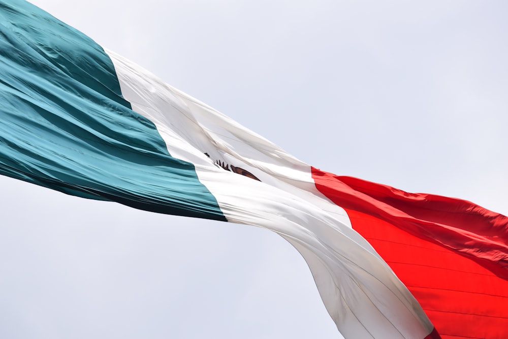 낮에 멕시코 국기를 흔드는 모습