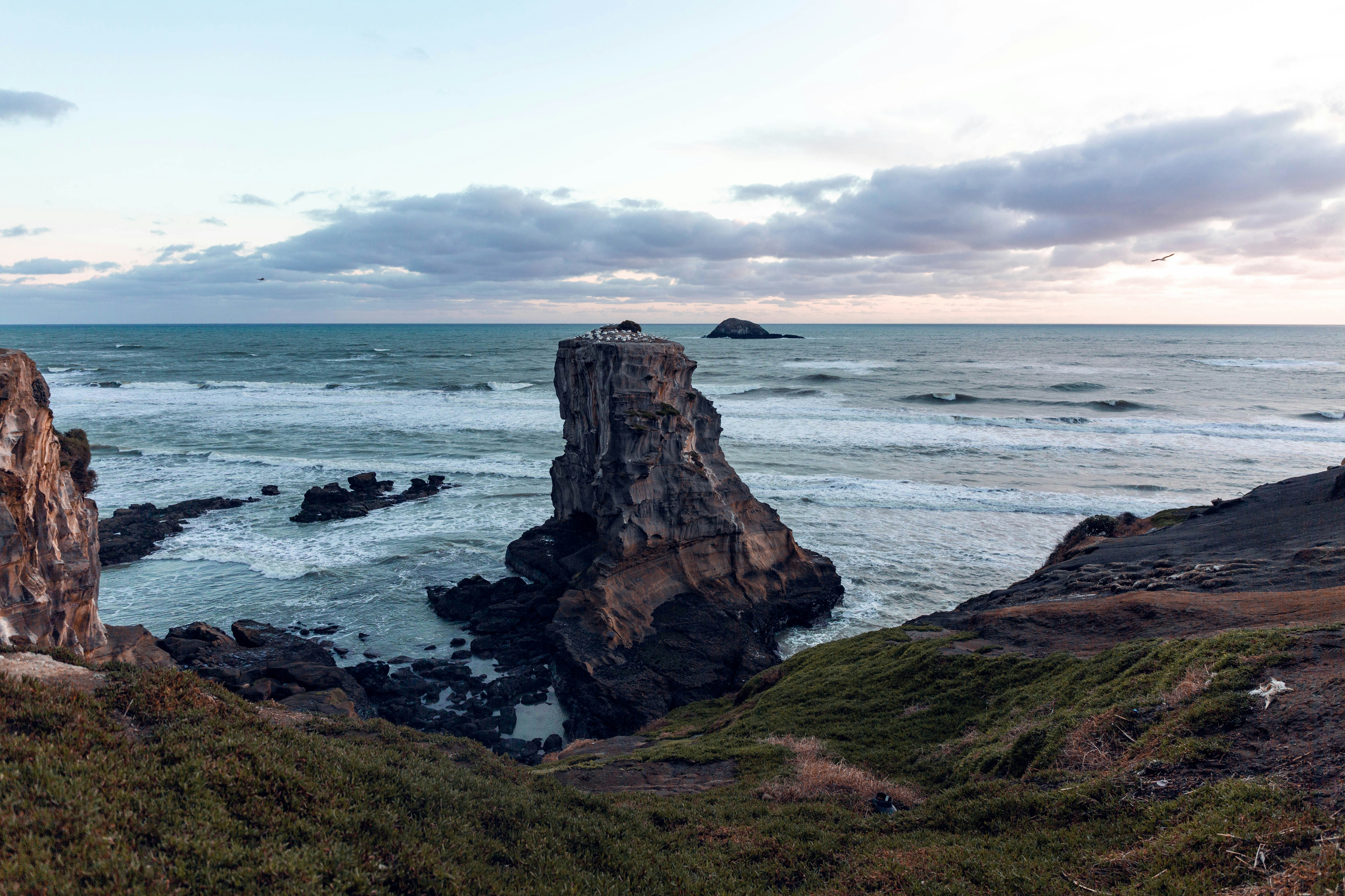 Photo by noble_m1tchell