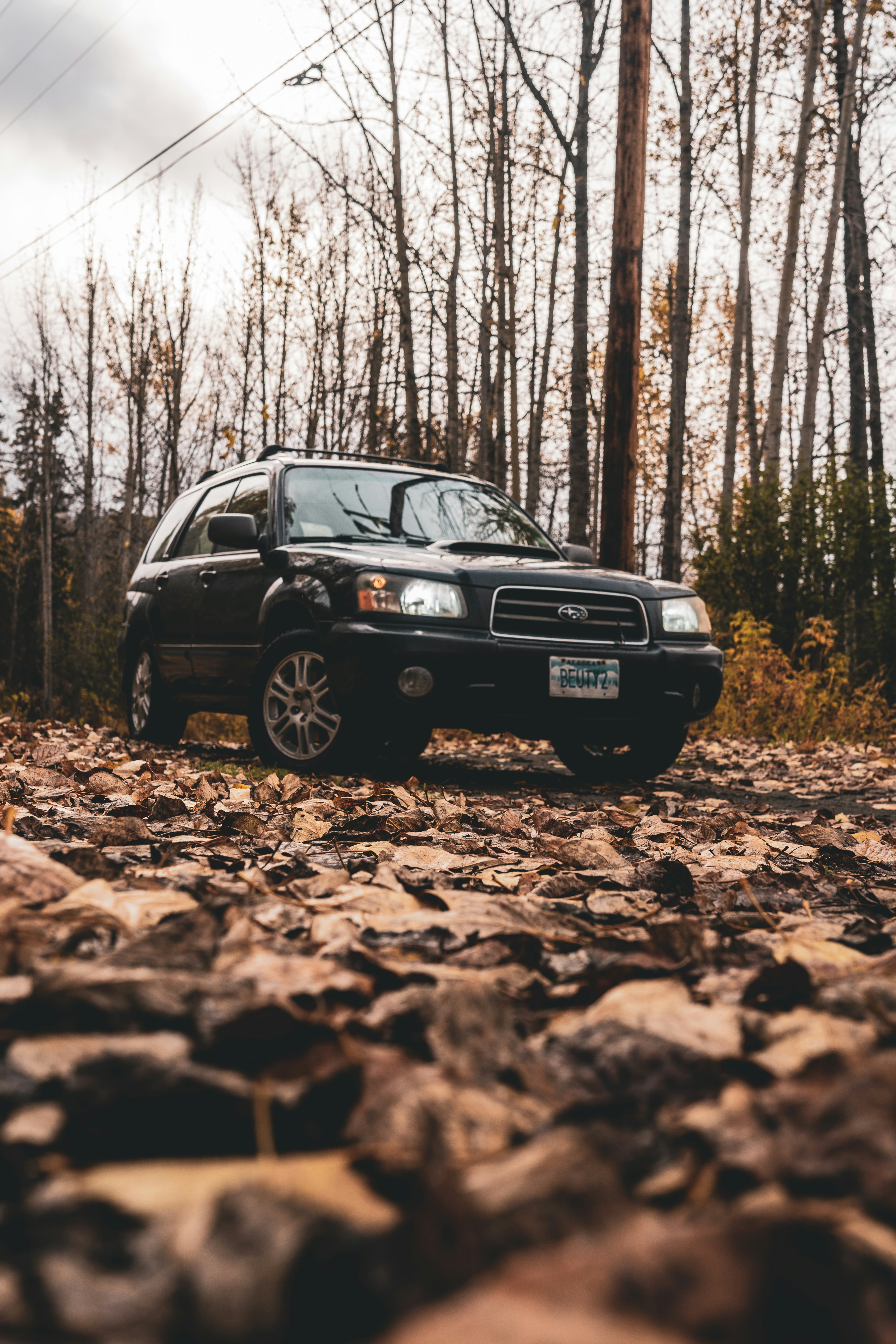 Photo by jaron_mobley