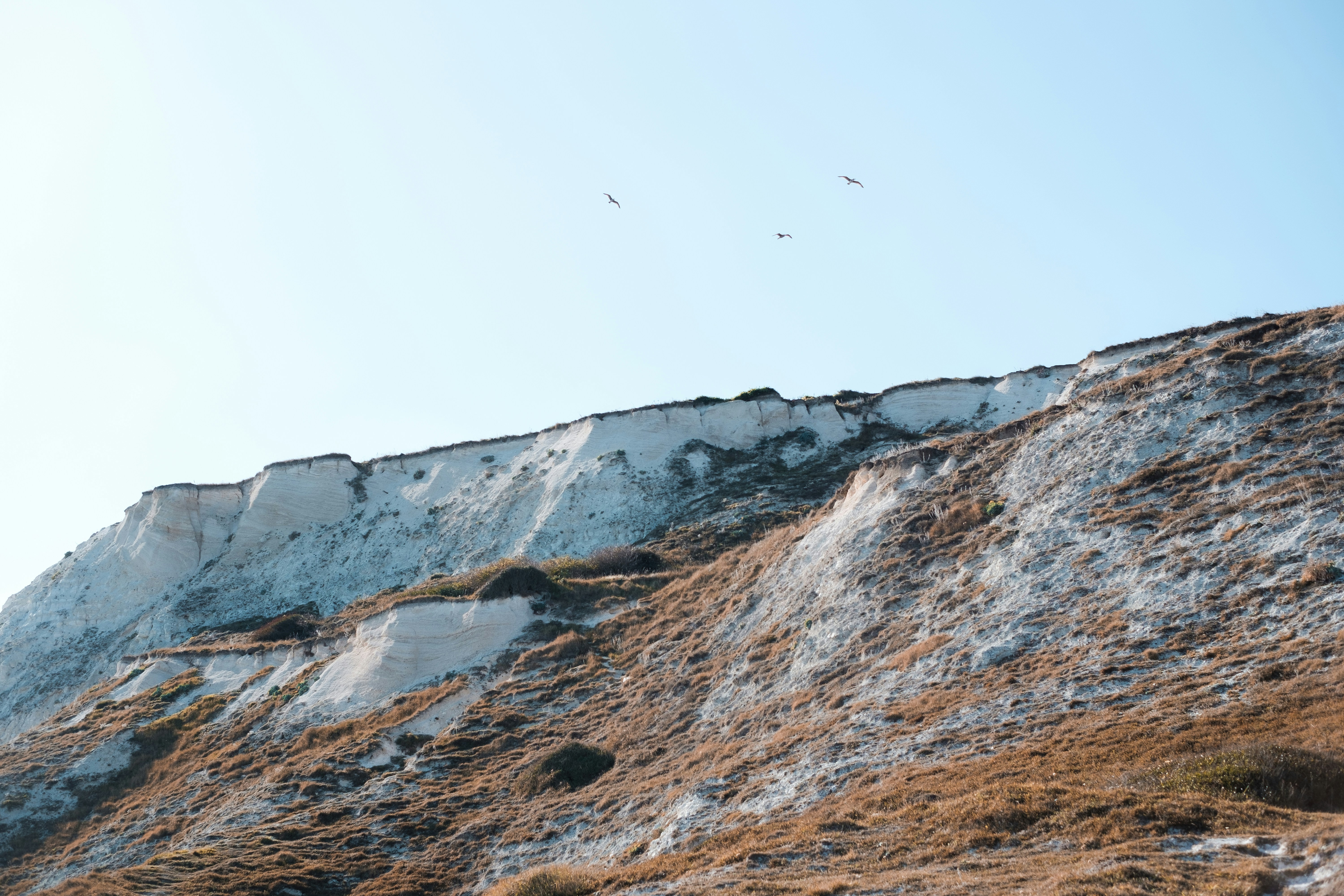 Photo by kaloczidev_