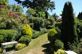 bench beside plants and grass pathway