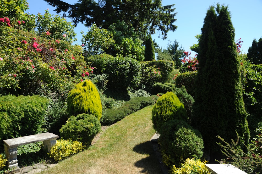 bench beside plants and grass pathway