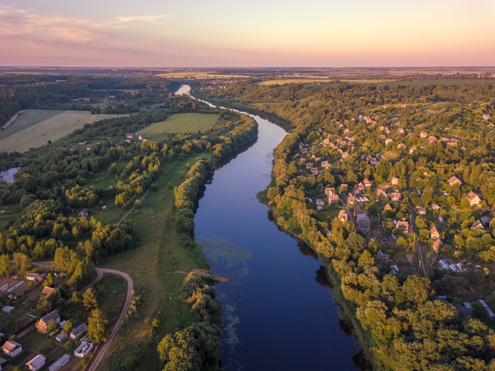 aerial view of green trees near river