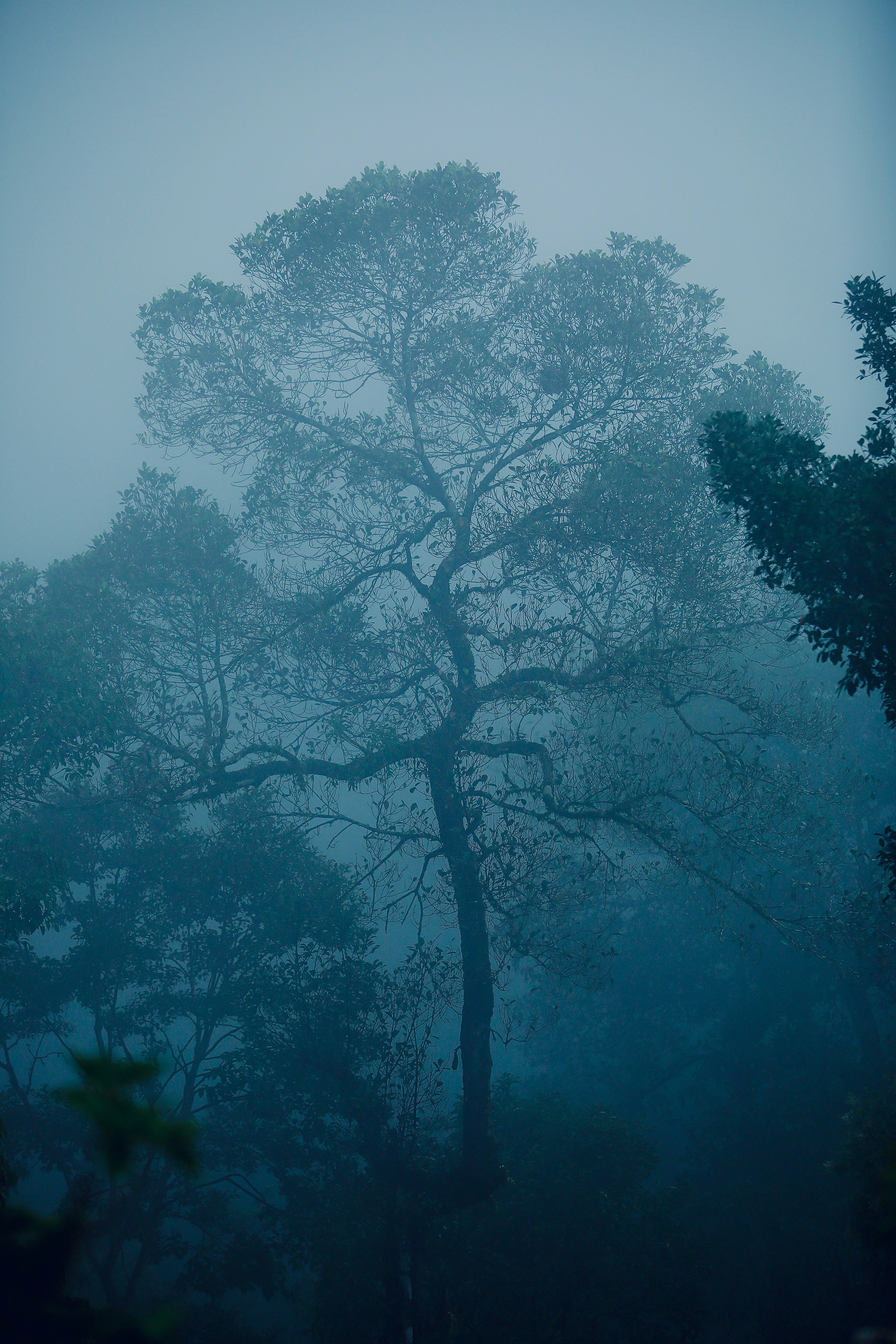 Photo by suryadeepak