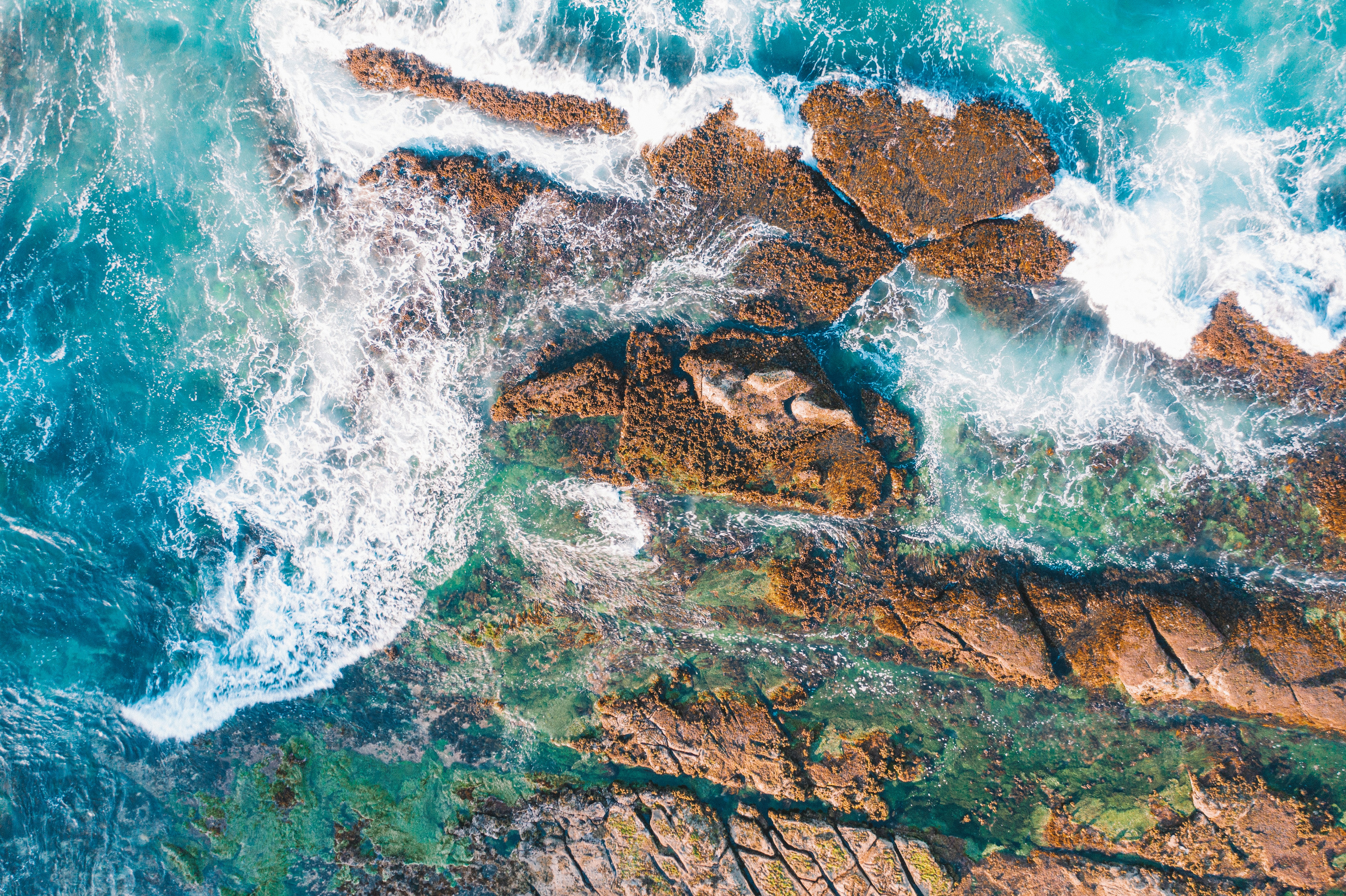 Photo by angus_buchanan