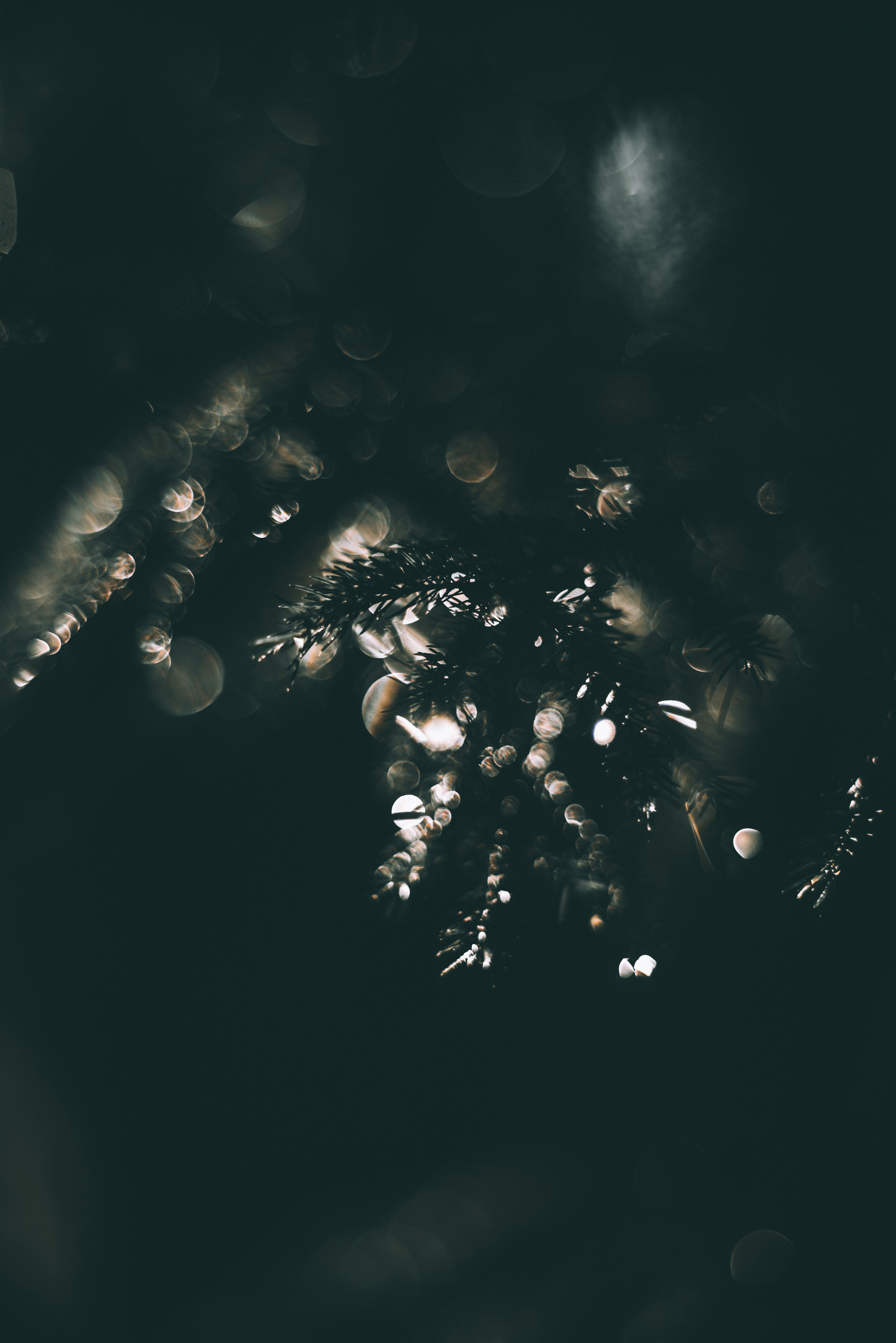 Photo by mathieubigard