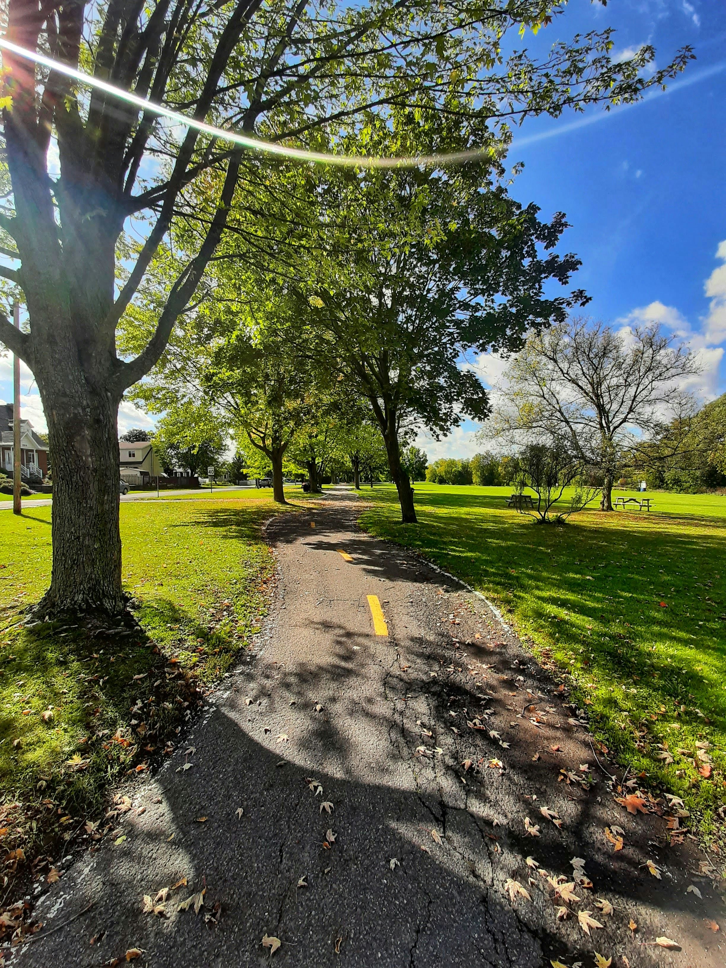 Photo by alexgrenier