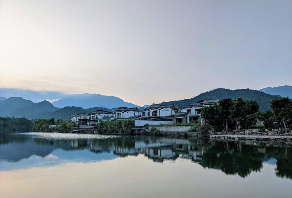 white houses near lake during daytime