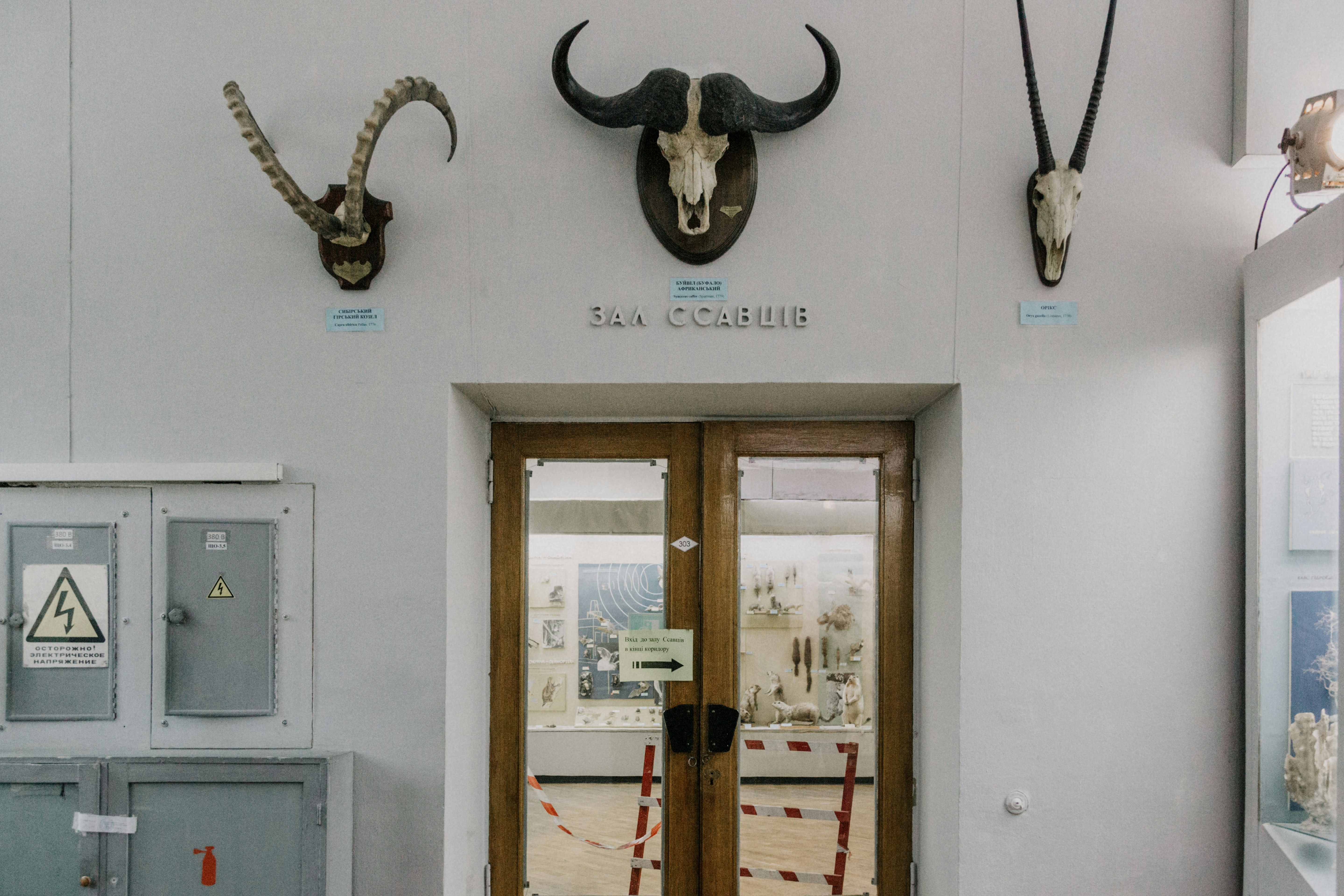 closed brown wooden framed glass doors