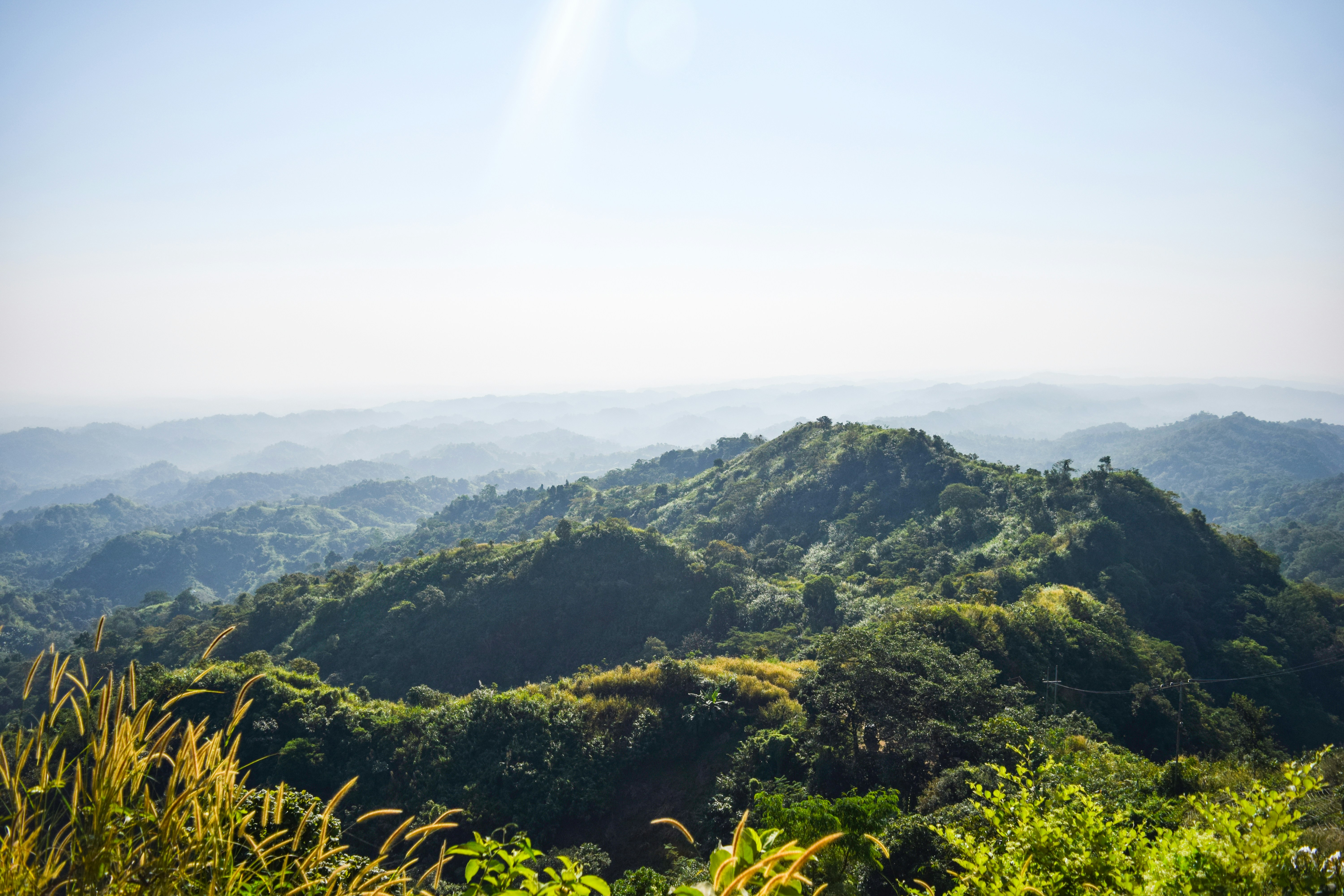 Photo by ideaz_sabbir