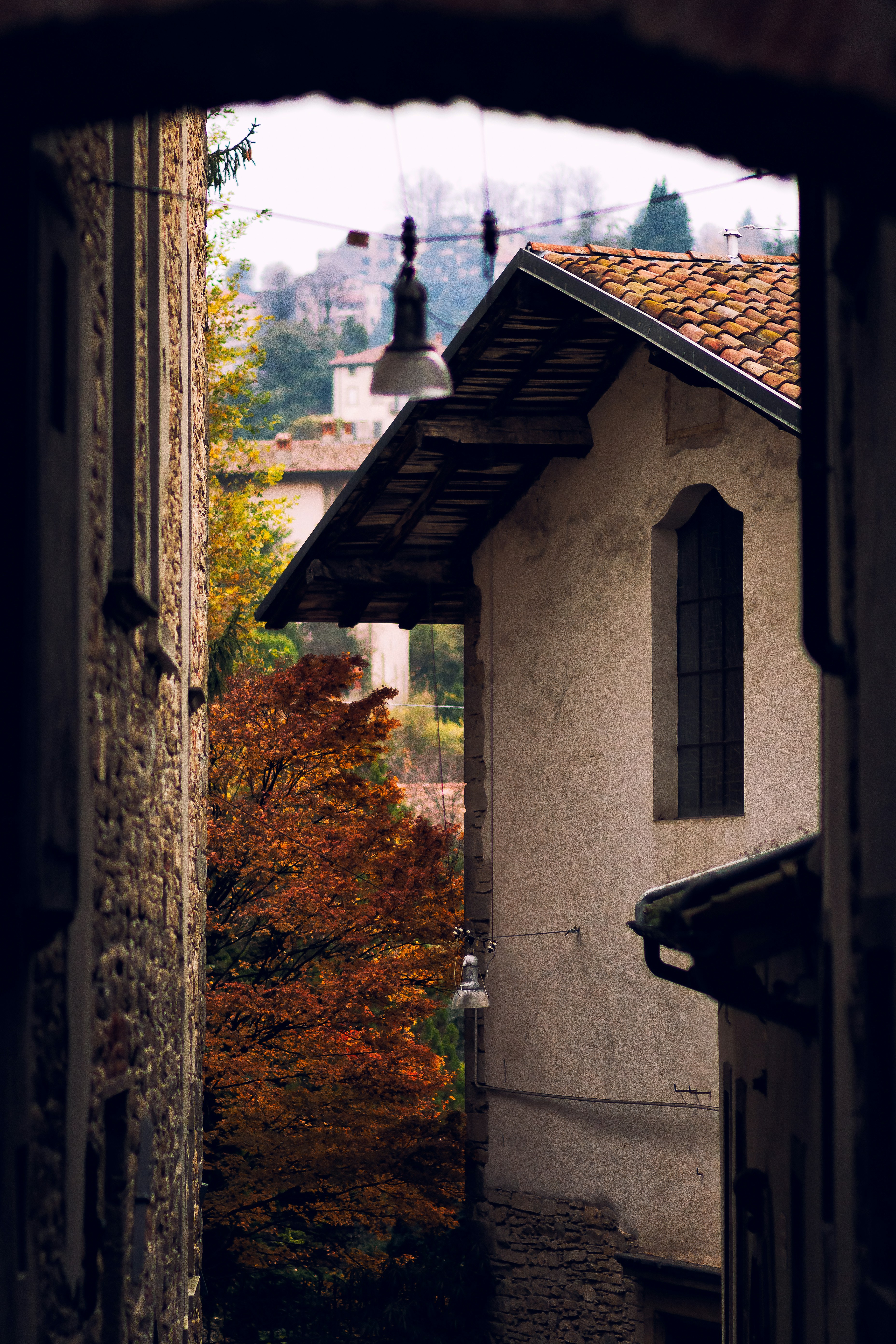 Photo by davidecas