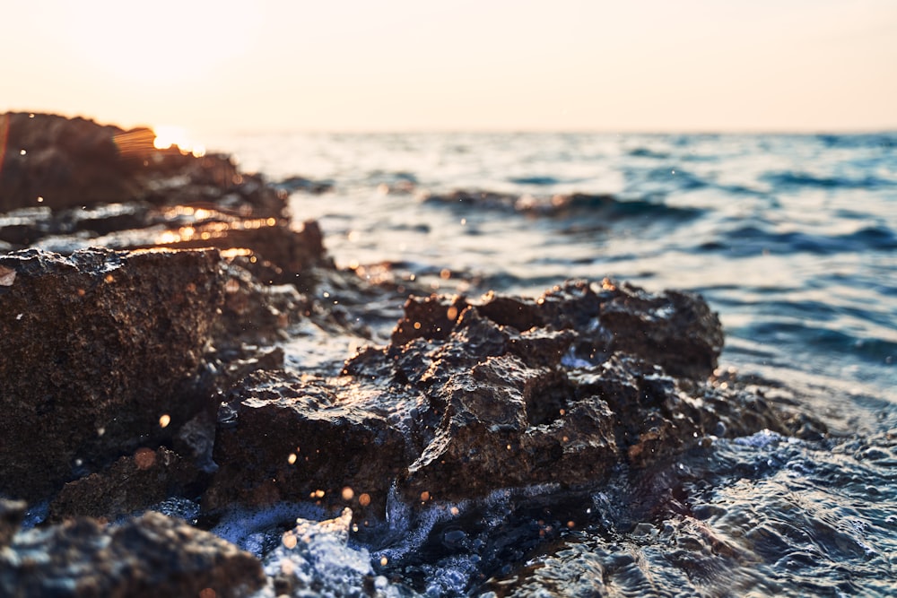 close-up photo of seashore rock during sunrise