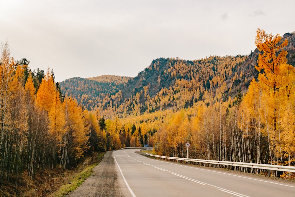 empty pavement during autumn season