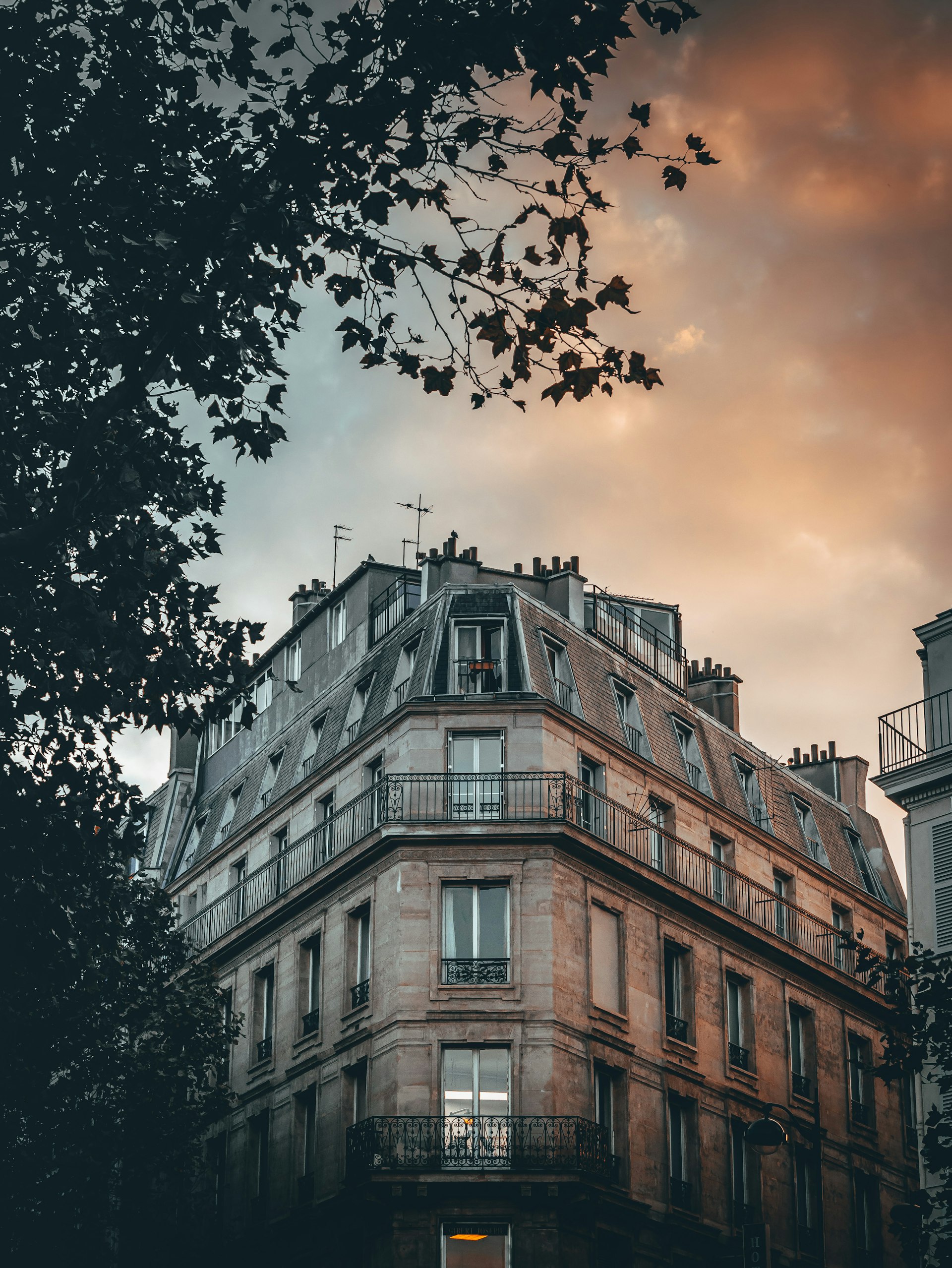 Historic Parisian hôtel particulier garden