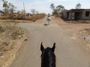 A rural road scene with two horses and riders. One rider on a black horse appears in the foreground, while another rider on a white horse is a little farther away, heading down the road. The dry, barren landscape is visible on both sides of the road, with scattered shrubs and a few trees. A simple building and some utility poles are also present.