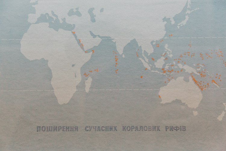 Location Guesser Game: Pin Capitals on the World Map