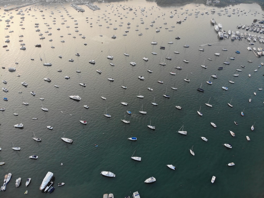 Boote auf Gewässer in Luftbild