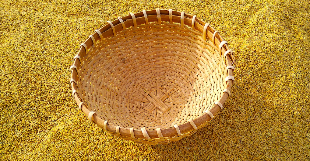 Close-up of golden basmati rice grains spilling from a traditional woven basket.