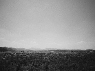 Wide open lot with clear skies and distant mountain views.