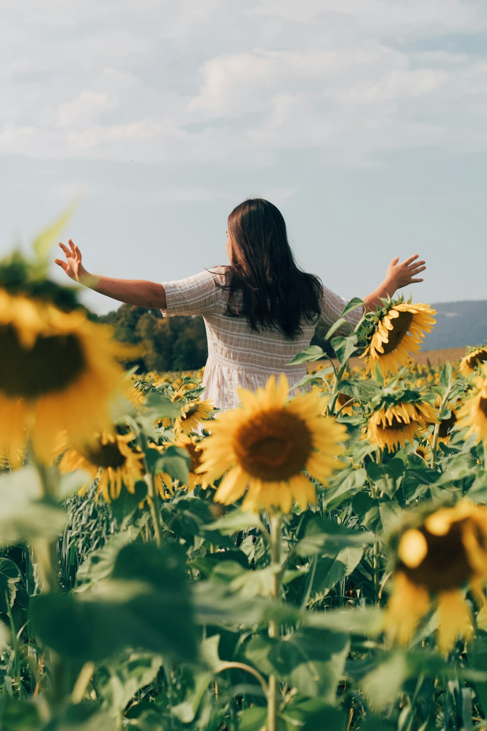 woman standing on sunflower field