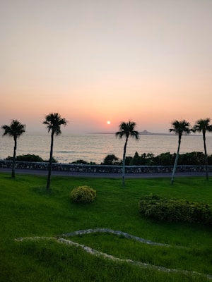 A serene sunset over the ocean with the sun near the horizon, casting a warm glow in the sky. Tall palm trees are silhouetted against the backdrop of the sea, with a neatly maintained lawn and a stone pathway leading through the foreground.
