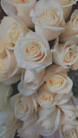 top view of bouquet of white rose