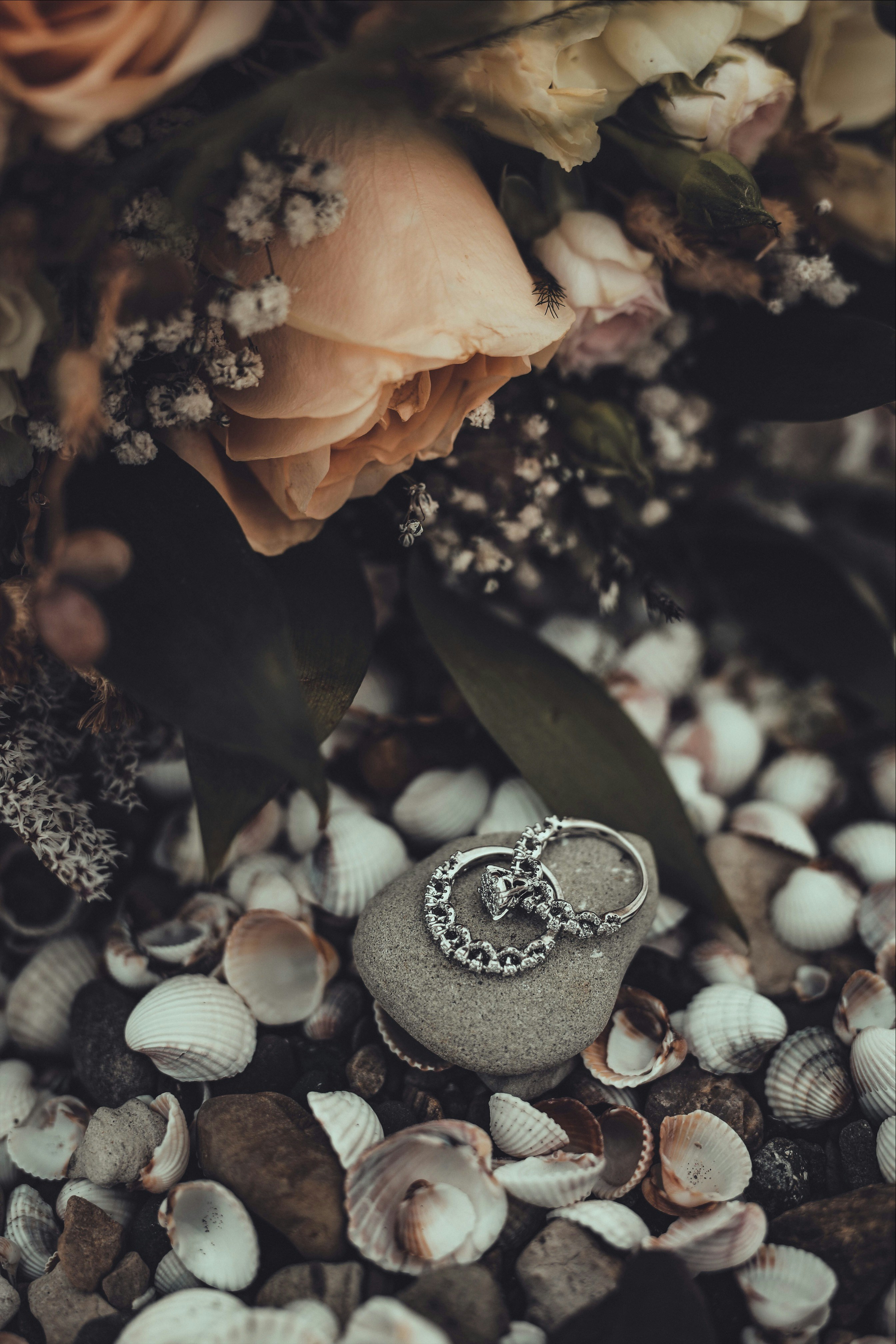 Photo by parizad_shojaei