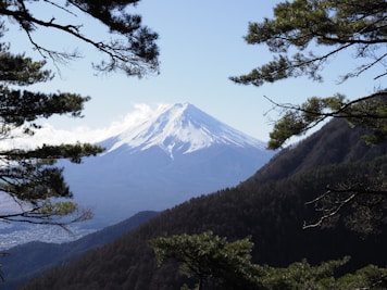 Mount Fuji