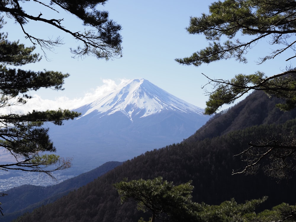 후지산