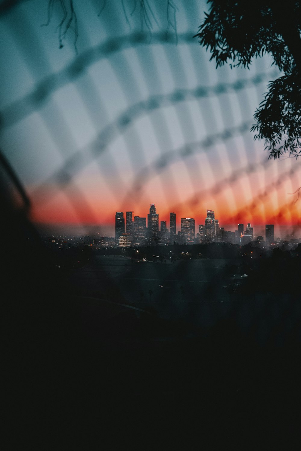 silhouette and chain link fence and trees