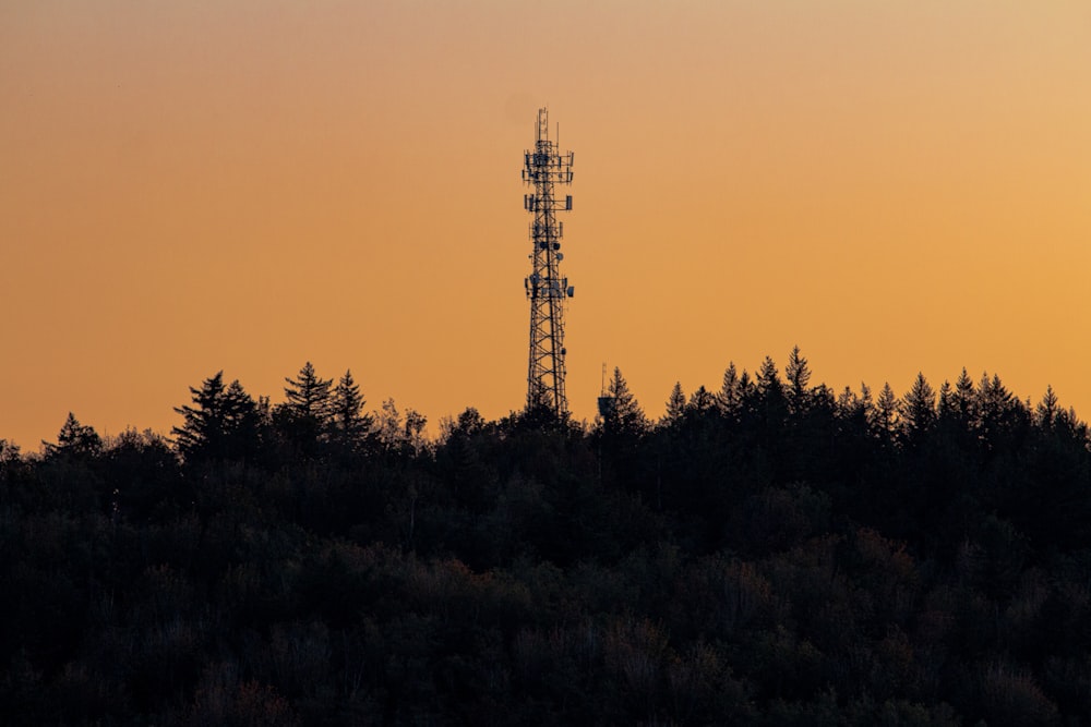 electrical tower beside trees during golden hour