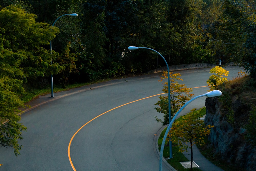 road with lampposts and trees during day