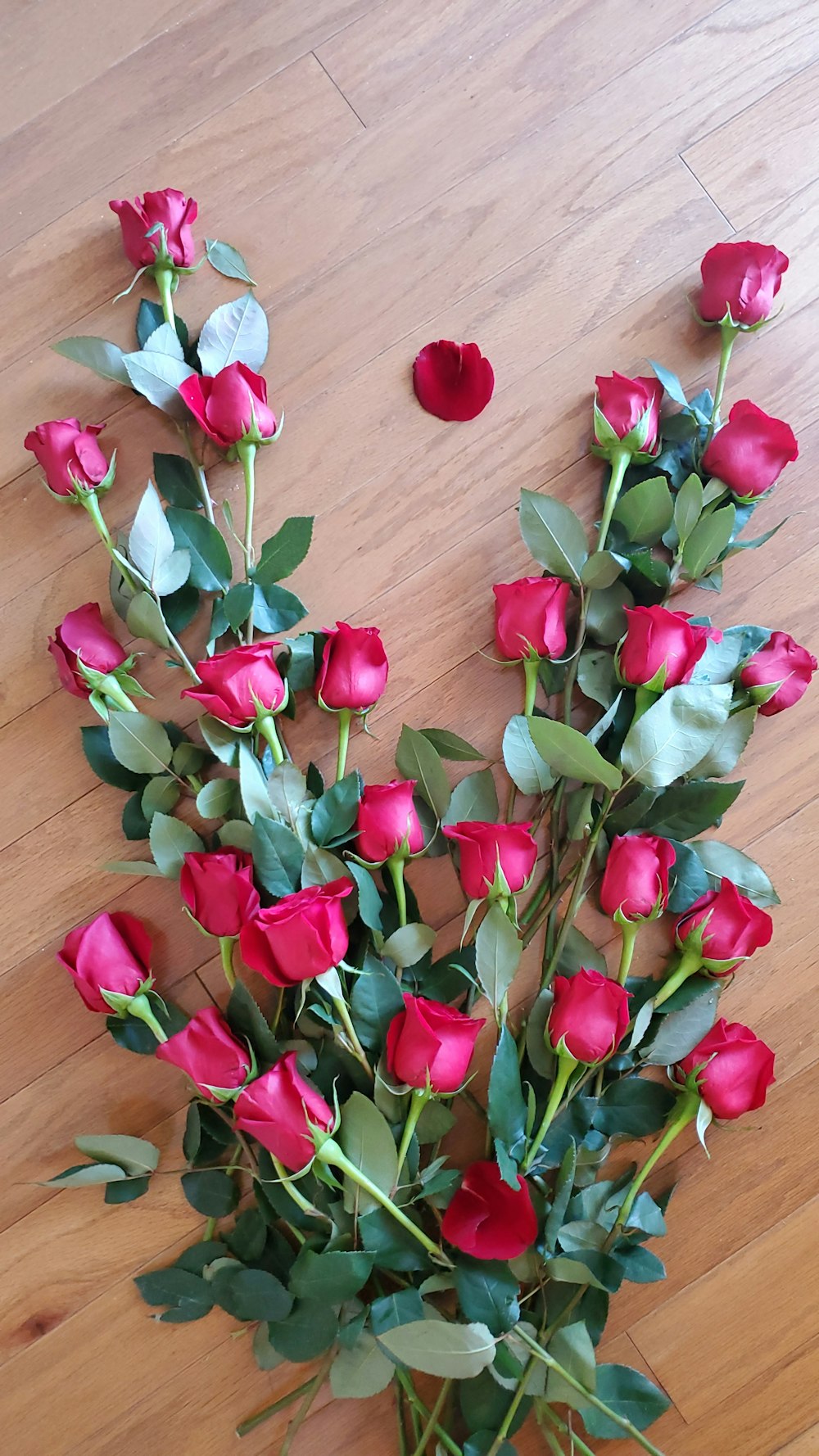 red rose bouquet