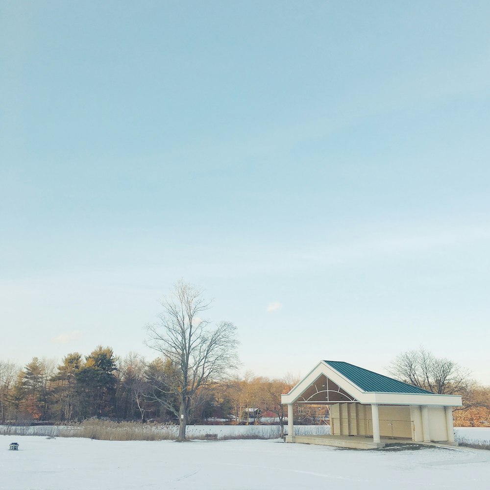 stage near bare tree on snow field during day