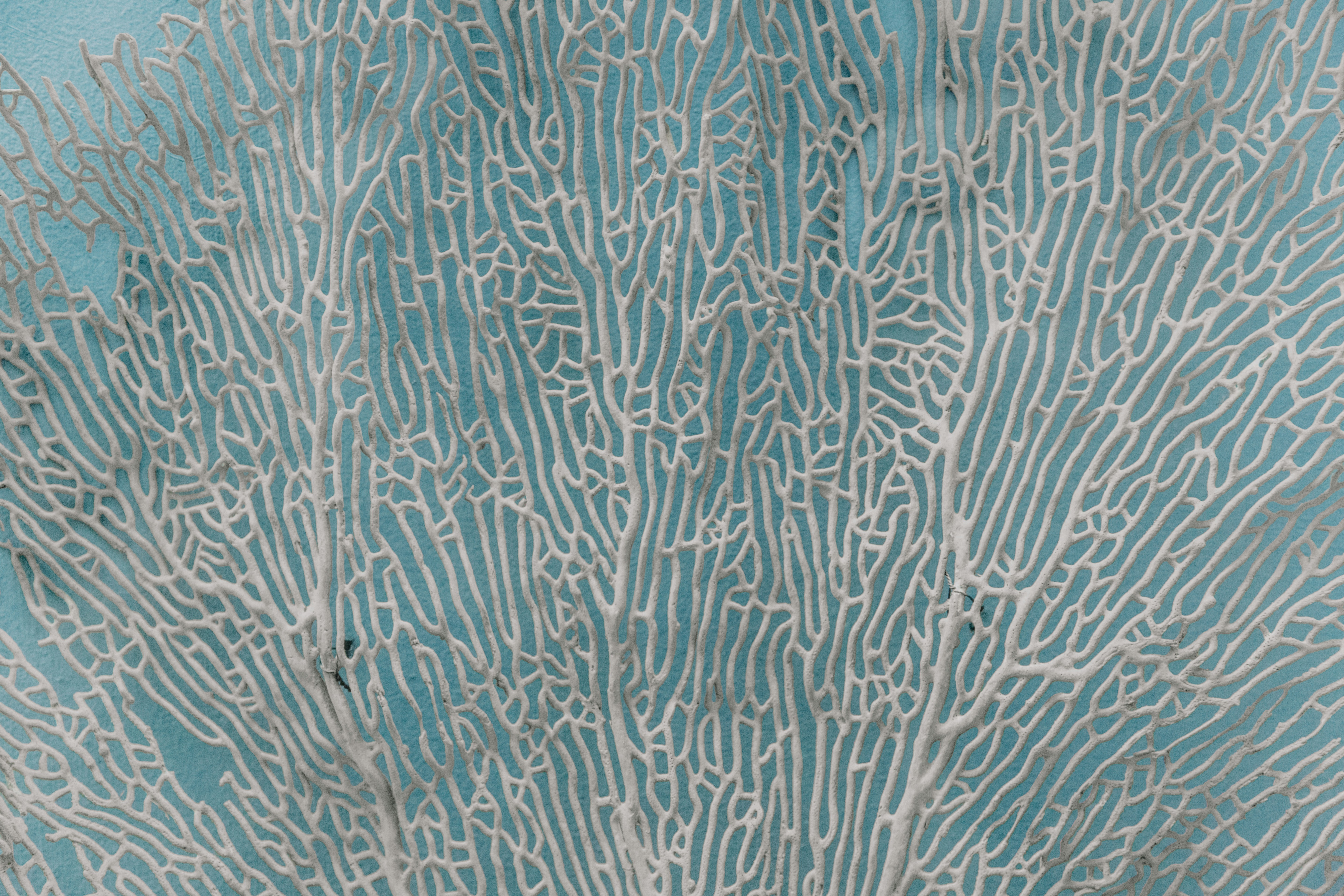 Photo by marjan_blan