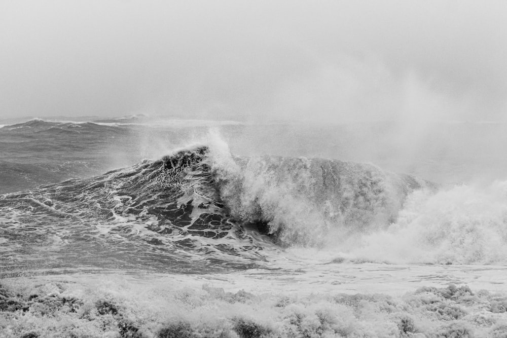 grayscale photography of beach